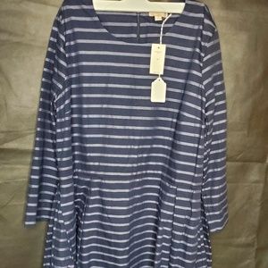 Blue Stripe Gap Dress